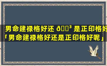 男命建禄格好还 🐳 是正印格好「男命建禄格好还是正印格好呢」